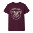 thumbnail image 1 of Playera Harry Potter para Dama, Manga Corta Vino Talla CH, 1 of 4