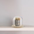 thumbnail image 6 of Viveous 1 Set Decorative Clear Glass Dome Tabletop Centerpiece Cloche Bell Jar Display Cover with Wood Base for DIY Succulents Keepsakes Dried Flowers Cake 14. 5x12cm, 6 of 11