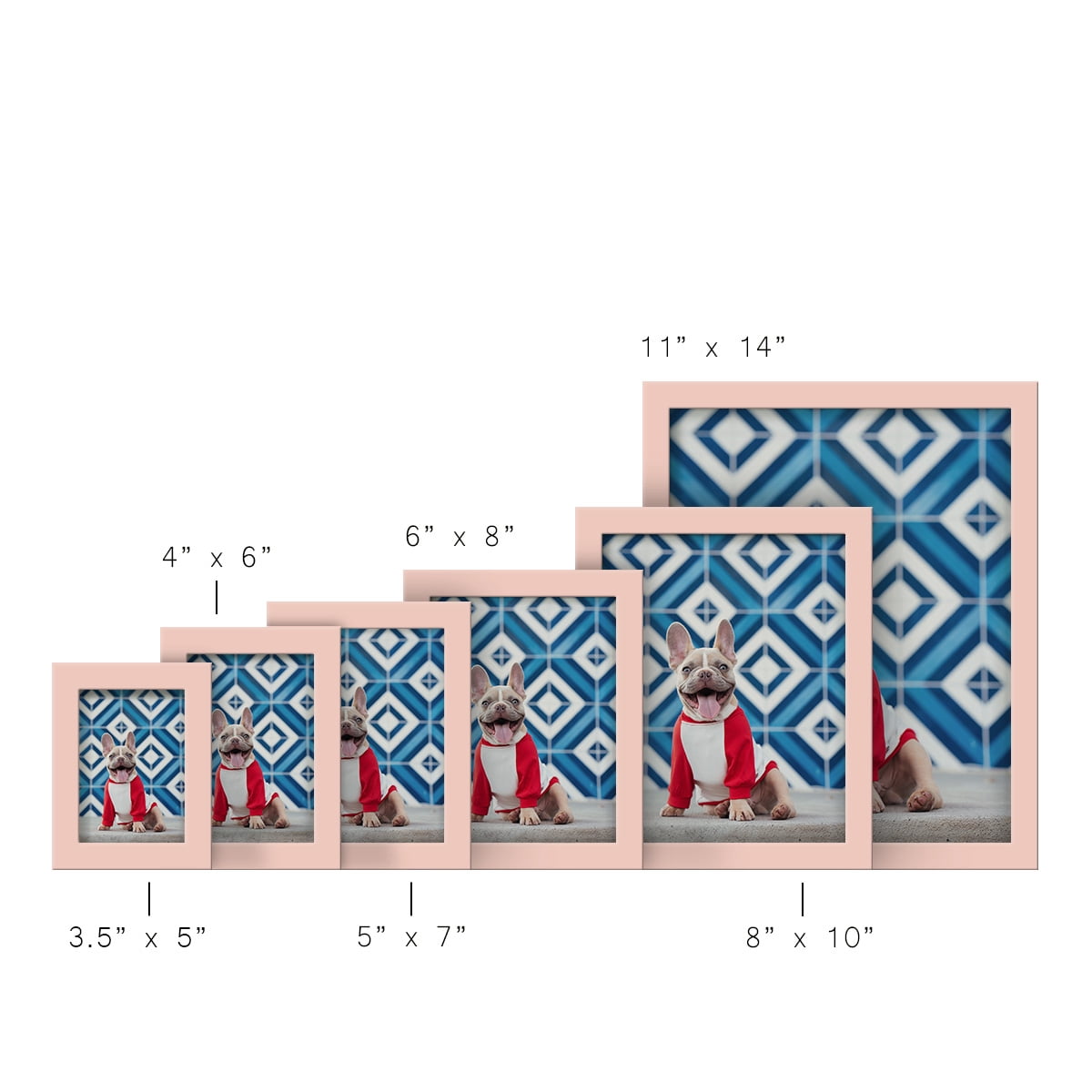 Modern 4 in. x 6 in. Pink Picture Frame (Set of 4)