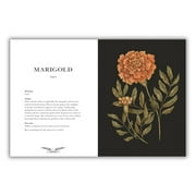 Hidden Languages: Floriography: An Illustrated Guide to the Victorian Language of Flowers Volume 1 (Hardcover)
