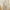 White, variant on Coat Rack Freestanding Closet Organizer Hall Tree With 2 Storage Shelves Corner Storage Organizer For Entryway Bedroom Clearance