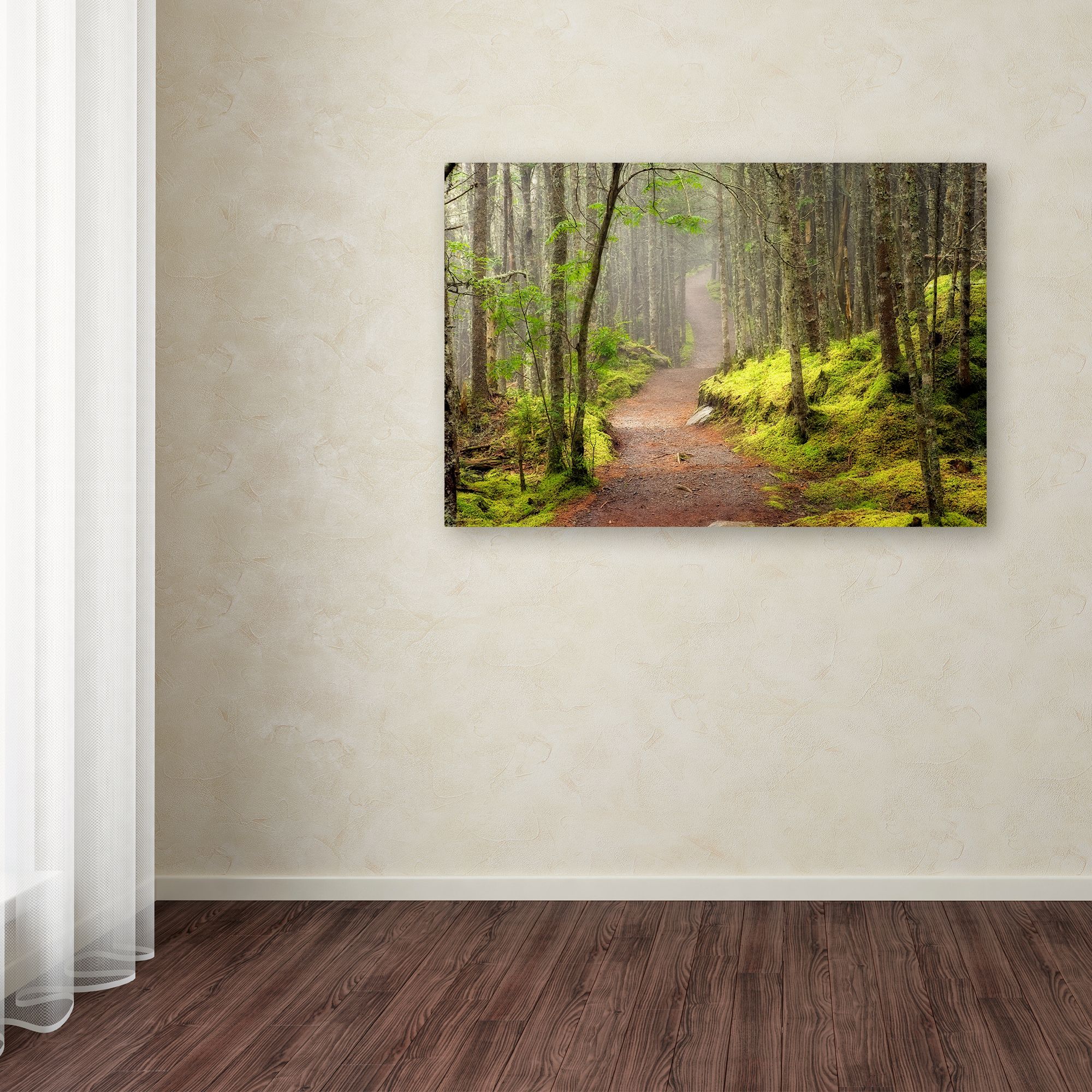 Trademark Fine Art 'Lubec Path' Canvas Art by Mike Jones Photo