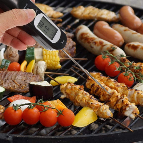 LOLIPPYY Barbecue Grill Thermometer Set with Precision Probe and Audible Alarm for Accurate Cooking