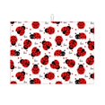 thumbnail image 1 of Fotbe Ladybug And Heart Alfombrilla de Secado para Cocina con Estampado, 18x24 Pulgadas, 1 of 7