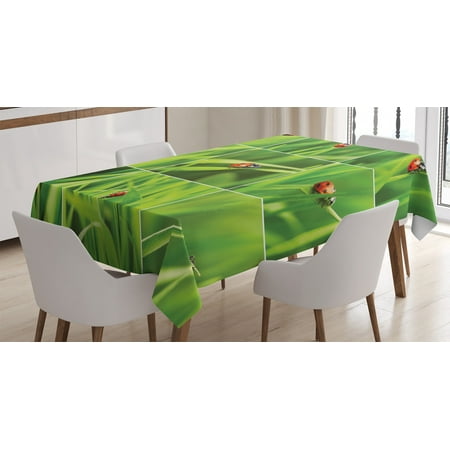 

Apartment Decor Tablecloth Ladybug over Fresh Grass Collection Divided Vibrant Life Lawn Foliage Theme Rectangular Table Cover for Dining Room Kitchen 52 X 70 Inches Green Red by Ambesonne
