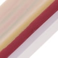 thumbnail image 3 of figatia Modèle d'Entraînement Anatomique Humain 3 Couches pour Laboratoire, 3 of 6