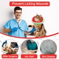 thumbnail image 6 of Minzimin 1Pack Cat Cone Collar Soft, Adjustable Cat Recovery Collars Spay Cones to Stop Licking, Cute Donut E Collar After Surgery, Anti-Lick Wound Healing Elizabethan Collar for Kittens, 6 of 7