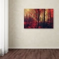 thumbnail image 3 of Trademark Fine Art "Fire Dance" Canvas Art by Philippe Sainte-Laudy, 3 of 3