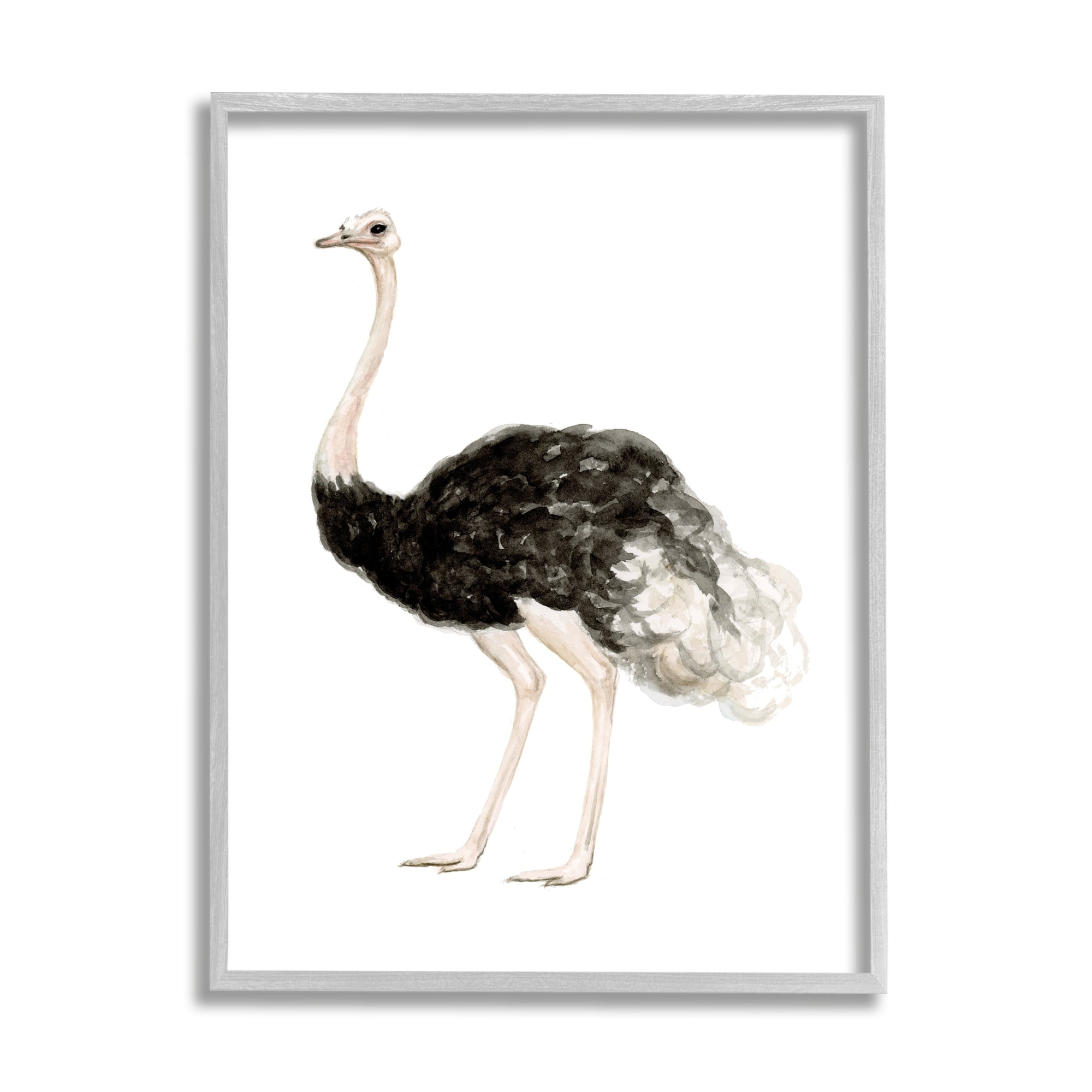 Stupell Industries Ostrich Bird Watercolor Portrait Kids' Nursery Wildlife Animal, 24 x 30,Design by Fox Hollow Studios