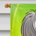 thumbnail image 3 of Caroline's Treasures BB1973CHF Saluki St. Patrick's Day Flag Canvas House Size , Large, multicolor, 3 of 4