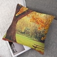 thumbnail image 7 of nygtbtfer Pillow Covers Decorative Square Orange Branch Red Fall Scenery Scenic Autumn Nature Sunny Parks Outdoor Vibrant Pillowcase Soft for Sofa Bedroom Car 22x22in, 7 of 7