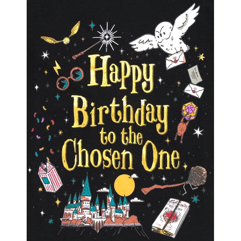 Harry Potter Birthday Vintage Wash T-Shirt Little Kid to Big