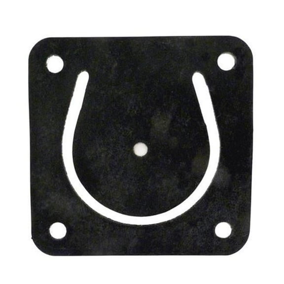 ALA-PT APCG3016 Pump Flange Gasket