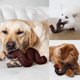 thumbnail image 3 of Juguetes masticables para perros Juguetes masticables interactivos para perros 1pc, 3 of 8