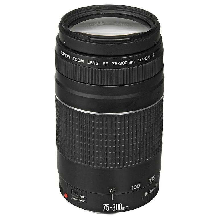 Canon EOS R6 Mark II Full Frame Mirrorless Camera Bundle Canon EOS R6 Mark II Full Frame Mirrorless Camera Bundle