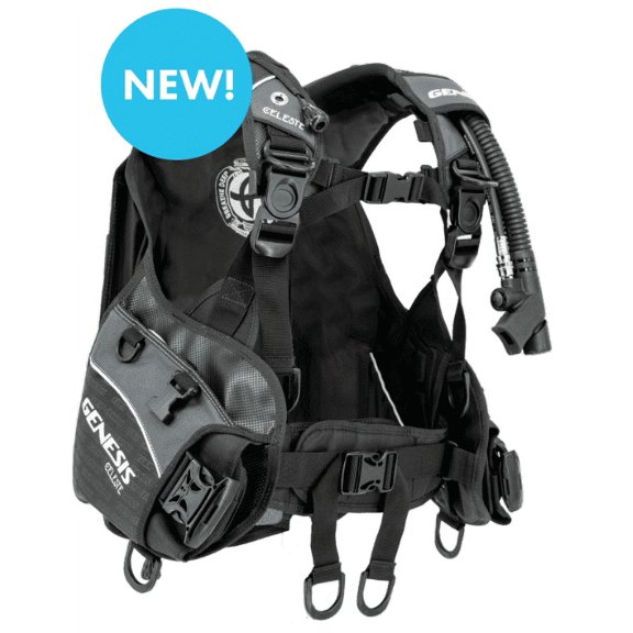 CELESTE WOMEN'S BCD MD