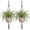 Gray, variant on 2 Pack 41 48 Inch Large Macrame Plant Hanger Rope to Hang Flower Pot Plant Holder for Indoor Outdoor Decorations, 4 Legs (Linen Color)