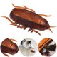 thumbnail image 5 of Insecto Automático Toy Electric Insect Mini Animal Creative para Gatos, 5 of 9