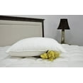 thumbnail image 3 of Pillowtex 75% White Duck Feather/ 25% White Duck Down Queen Pillow (2 Pack), 3 of 5