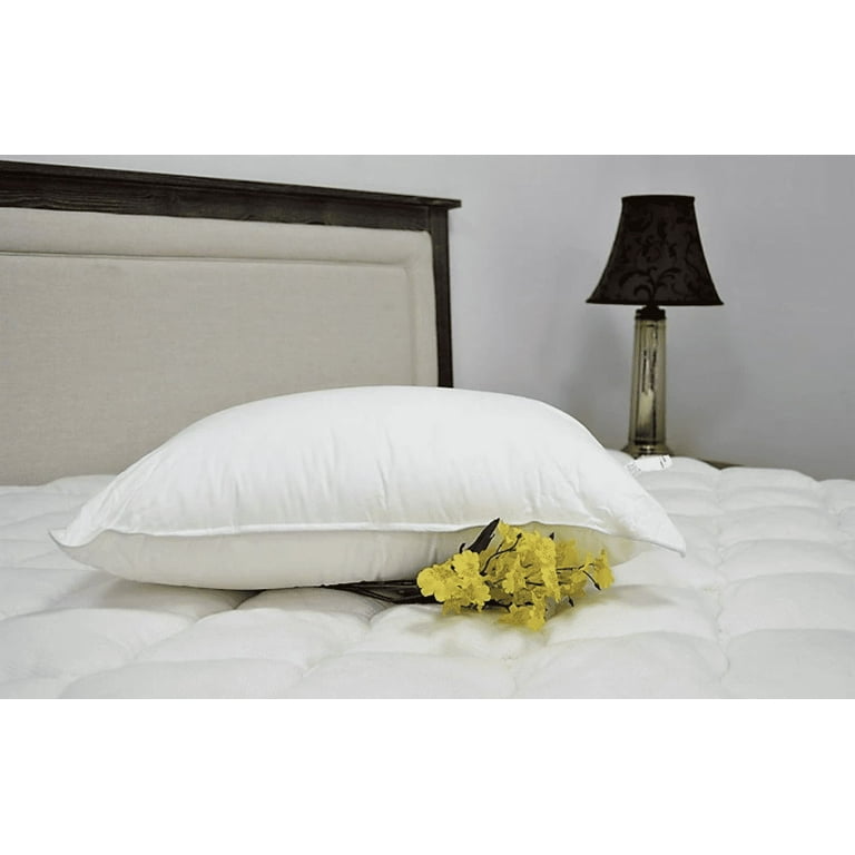 Pillowtex 75% White Duck Feather/ 25% White Duck Down King Pillow (2 pack)  