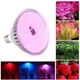 thumbnail image 4 of Luz de cultivo interior, luz de cultivo de plantas LED E27 280LED, luz de cultivo de plantas, grado profesional, 4 of 8