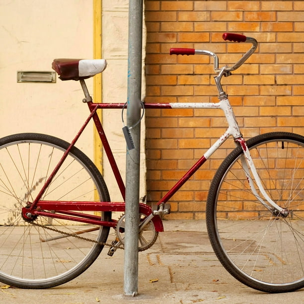 Hytrove De Combinación Con Cable Retráctil De Para Bicicletas Y Equipaje Color Plateado