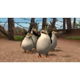 thumbnail image 4 of Madagascar Escape 2 Africa - Nintendo DS, 4 of 6