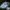 White, variant on Asisol Christmas LED Rope Lights Indoor Outdoor, Battery Operated 23ft 50 LED Waterproof String Lights 8 Modes Lighting with Remote for Christmas Party Garden Home Decoration