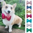 thumbnail image 4 of Mosey Durable Pet Collar Bow Lovely   Dog Supplies   Grooming Decoration, 4 of 7