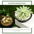thumbnail image 3 of 6 Pcs Plastic Flower Pot with Hollow Bottom for Succulent Plants Gardening Container, 3 of 8
