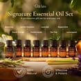 thumbnail image 3 of Gya Labs Signature Essential Oil Set, Essential Oils for Home - Diffusion, Self-Care, Skin, DIY - Peppermint, Lavender, Orange, Tea Tree, Vanilla, Rosemary, Lemongrass, Frankincense - 8 x 0.17 fl oz, 3 of 7