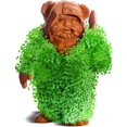 thumbnail image 1 of Star Wars Ewok Chia Pet Decorative Pottery Planter, 1 of 2