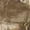 Other, variant on MidwayUSA Men's All Purpose Field Long Sleeve Shirt Realtree Max-1 XT 3XL