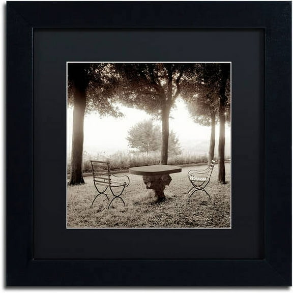 Trademark Fine Art "Fiesloe Giardini I" Canvas Art by Alan Blaustein, Black Matte, Black Frame