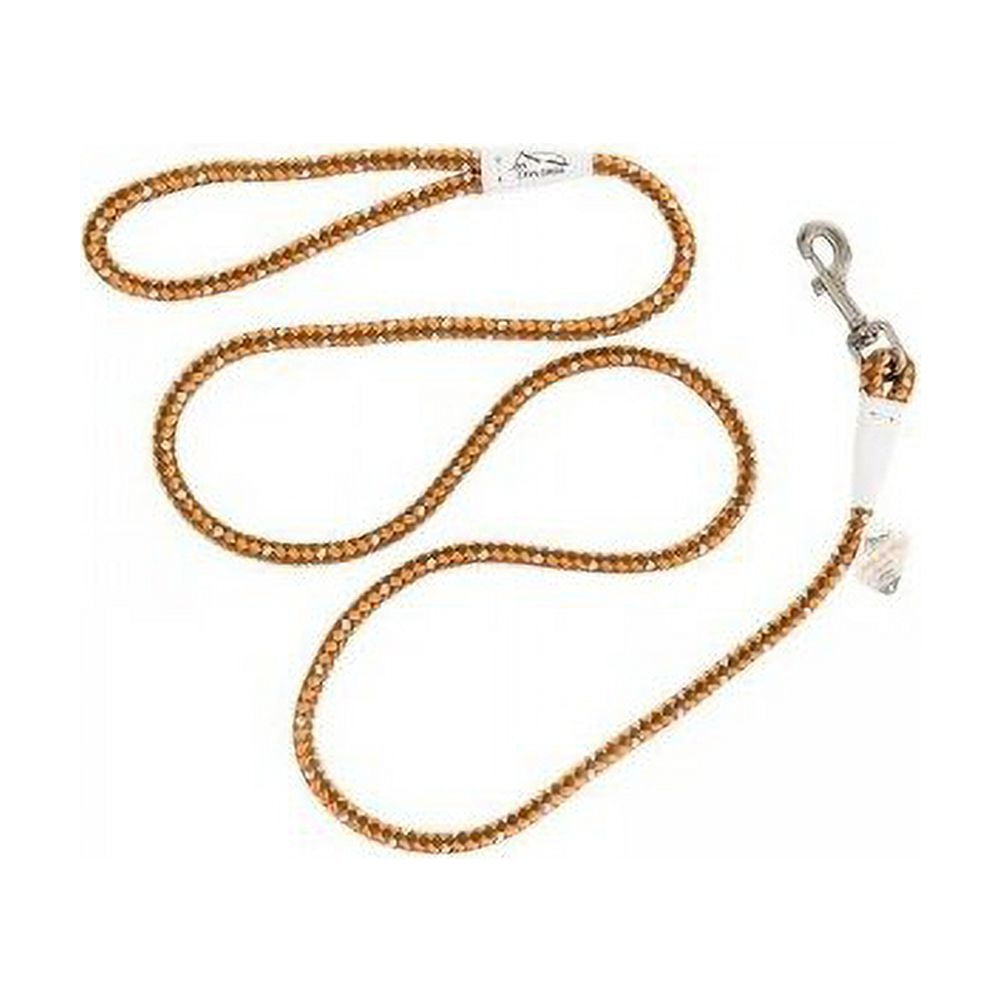Coastal K9 Explorer Braided Rope Reflective Dog Leash