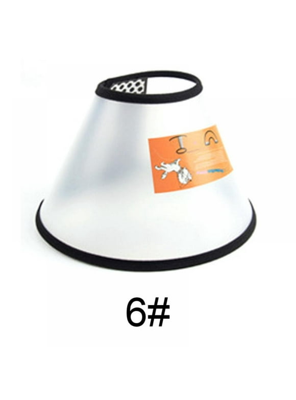 Dog Cones in Dog Health and Wellness