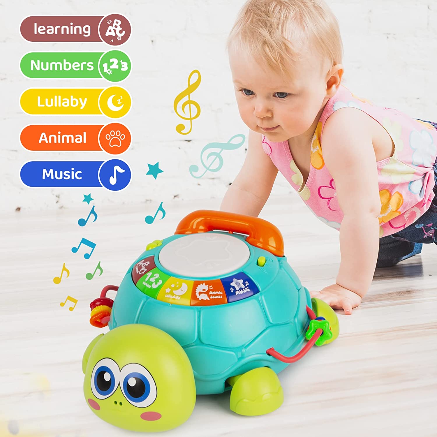 Hanayo Musical Turtle Crawling Toy With Light For Infants 0-18 Months