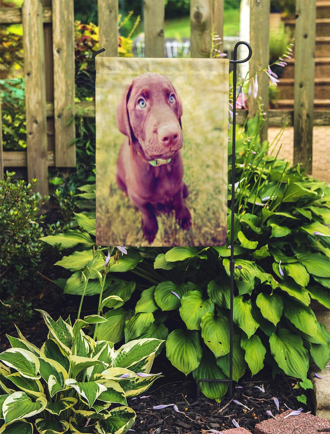 LADDKE Blue Cute Chocolate Lab Puppy Sitting in The Grass Garden Flag Decorative Flag House Banner 28x40 inch - image 2 of 2