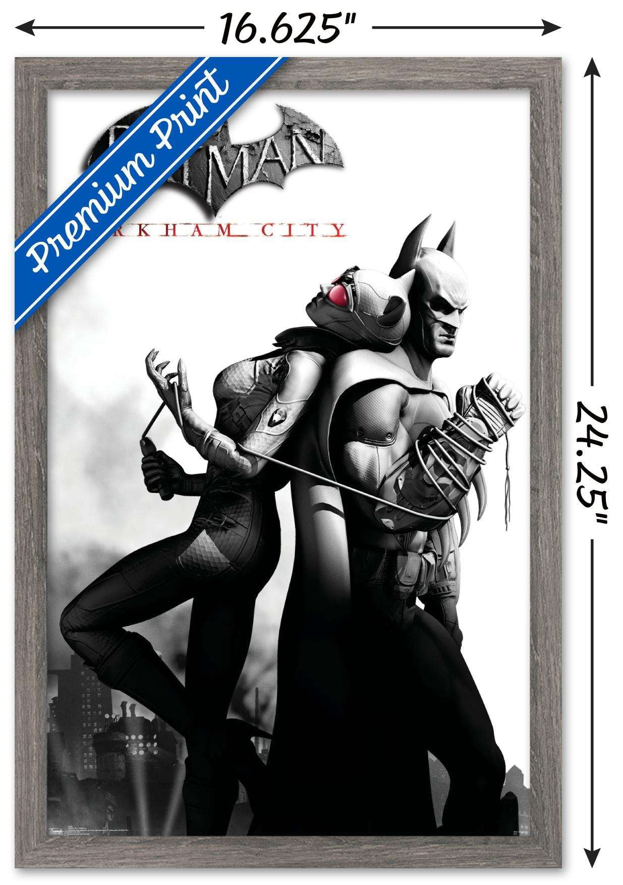 DC Comics Video Game - Arkham City - Catwoman Wall Poster, 14.725" x 22.375", Framed