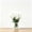 C#3, variant on Handmade Glass Artificial Flower Bouquet | Small Simulated Floral Arrangement | Desktop & Tabletop Decoration | Home & Office Decor Gift | Glass Vase Ornament