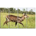 thumbnail image 2 of Antilope en Herbe Verte - Impression sur Toile Africaine Extra Large, 2 of 3