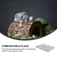 thumbnail image 4 of 1Pc Summer Pet Cooling Plate Hamster Cooling Board Marble Slab (Random Pattern), 4 of 4