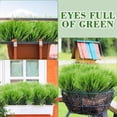 thumbnail image 6 of 8 Bundles Faux Grass Plants Fake Bushes Artificial Shrubs Wheat Grass Greenery for House Plastic Outdoor UV Resistant Faux Grass, 6 of 7