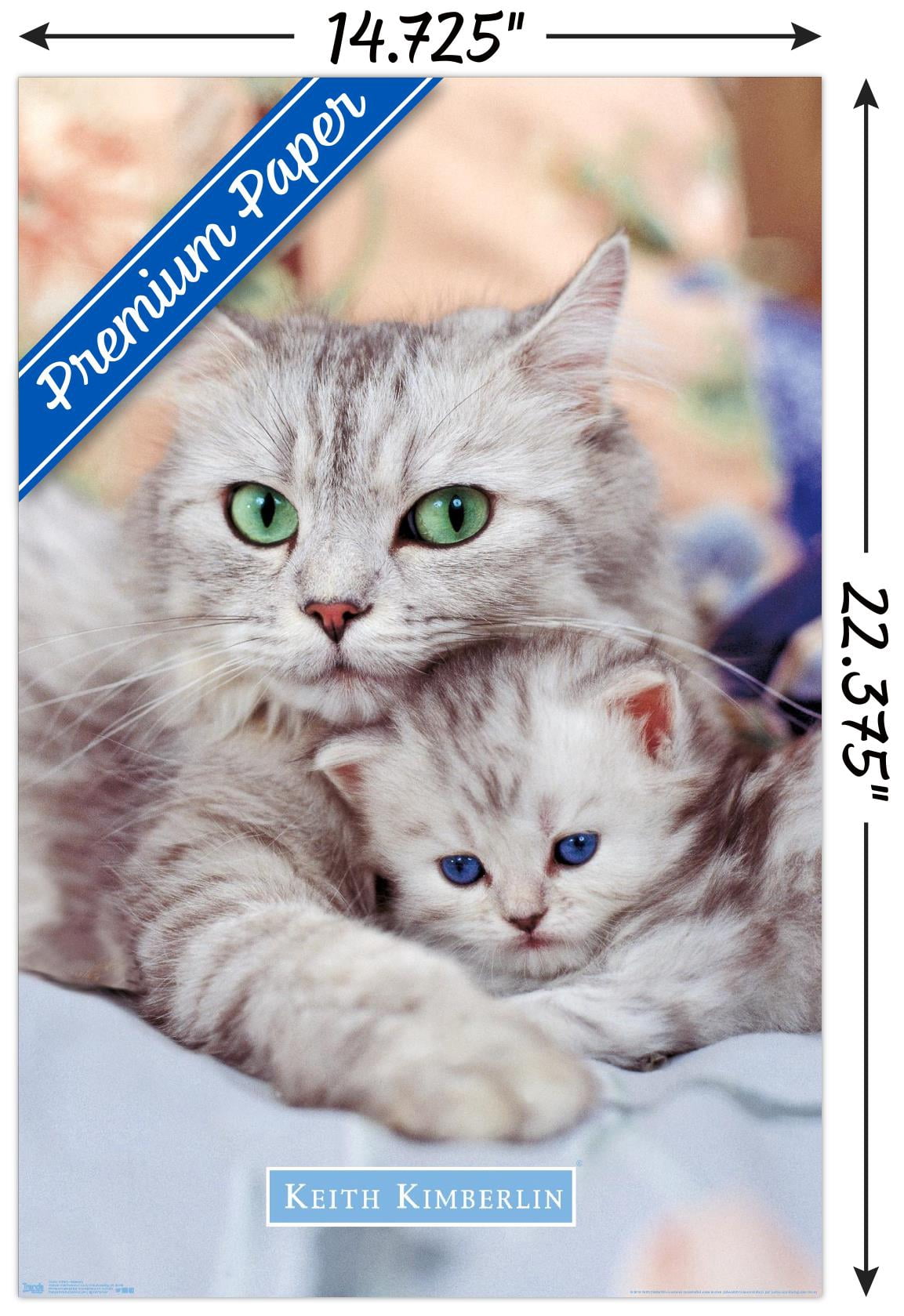 Keith Kimberlin - Momma and Kitten Wall Poster, 14.725" x 22.375"