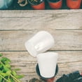 thumbnail image 1 of SEWACC 10pcs Clear Pots Transparent Nursery Pots for Monitoring Root Growth in Plants, 1 of 8