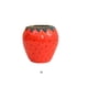 thumbnail image 2 of Injueey Jarrones de cerámica para arreglos florales, maceta de arte hidropónico con forma de fresa, jarrón para botellas, estante de oficina, Suministros de cerámica y alfarería Rojo Medio Injueey HA071888-02, 2 of 6