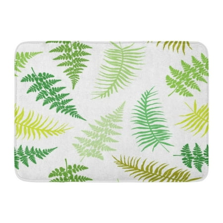 Godpok Fern Frond Green Brown Tropical Forest Plant Leaves On