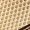 Golden/White, variant on Golden & White Casual Sneakers - Stylish Low Top Sneakers |Golden White Sneakers|Laceup Closure with Lace-Up Closure, Mesh & Microfiber Upper, EVA Sole, All-Season Comfort, Casual Wear Sneakers