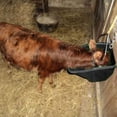 thumbnail image 5 of Little Giant 10-Quart Durable Plastic Flat Back Livestock Feed Bucket, Black, 5 of 7
