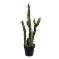 thumbnail image 1 of Vickerman FE191124 24 in. Green Potted Cactus Plastic Planter Pot, 1 of 2